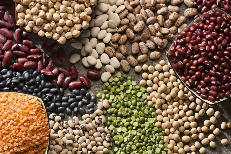 Plant-based dairy innovation with green peas and pinto beans